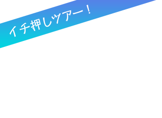 国内旅行や海外旅行 個人旅行から団体ツアーまで 一味違う旅 を選ぶなら愛知県西尾市のトラベル三河へどうぞ